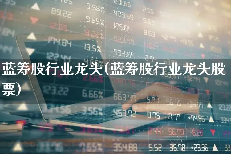 蓝筹股行业龙头(蓝筹股行业龙头股票)_https://www.hhem8.com_科创板_第1张