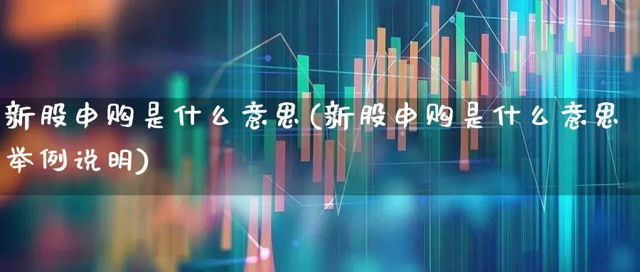 新股申购是什么意思(新股申购是什么意思举例说明)_https://www.hhem8.com_科创板_第1张