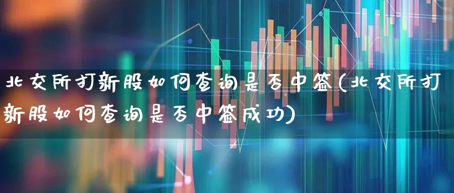北交所打新股如何查询是否中签(北交所打新股如何查询是否中签成功)_https://www.hhem8.com_科创板_第1张