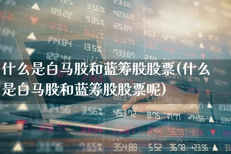 什么是白马股和蓝筹股股票(什么是白马股和蓝筹股股票呢)_https://www.hhem8.com_深交所_第1张