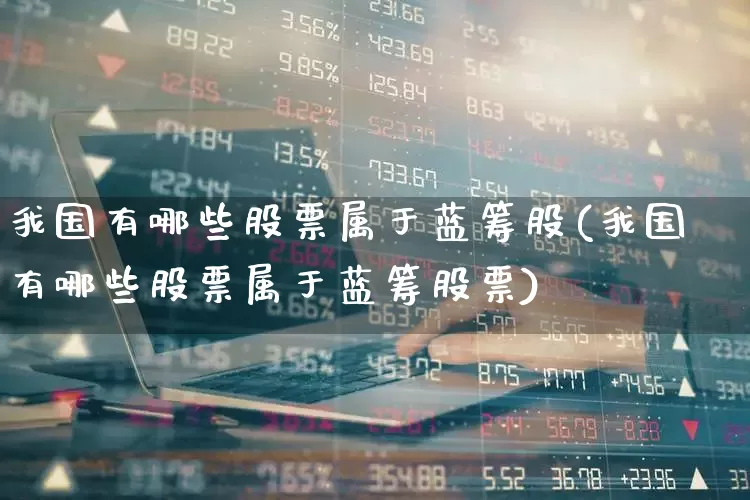 我国有哪些股票属于蓝筹股(我国有哪些股票属于蓝筹股票)_https://www.hhem8.com_深交所_第1张