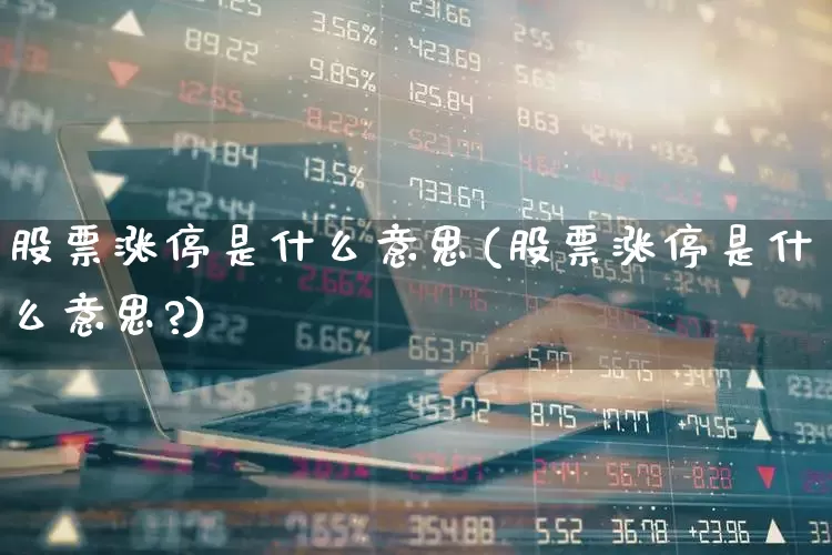 股票涨停是什么意思(股票涨停是什么意思?)_https://www.hhem8.com_上交所_第1张