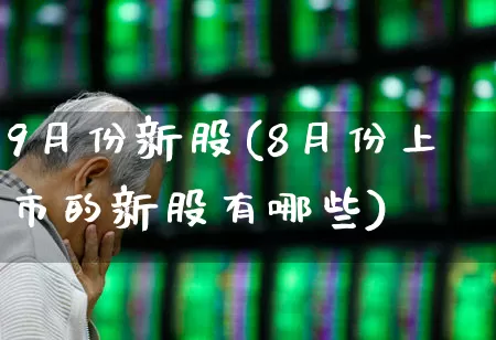 9月份新股(8月份上市的新股有哪些)_https://www.hhem8.com_科创板_第1张