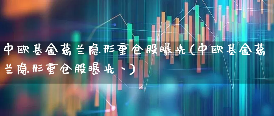 中欧基金葛兰隐形重仓股曝光(中欧基金葛兰隐形重仓股曝光丶)_https://www.hhem8.com_北交所_第1张