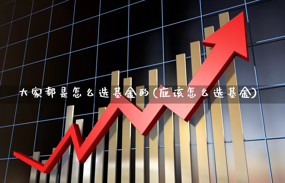 大家都是怎么选基金的(应该怎么选基金)_https://www.hhem8.com_上交所_第1张