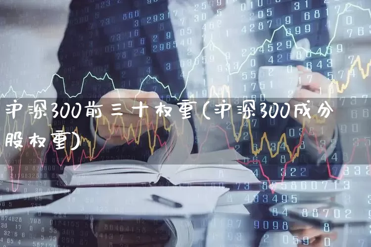 沪深300前三十权重(沪深300成分股权重)_https://www.hhem8.com_科创板_第1张