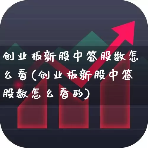 创业板新股中签股数怎么看(创业板新股中签股数怎么看的)_https://www.hhem8.com_北交所_第1张