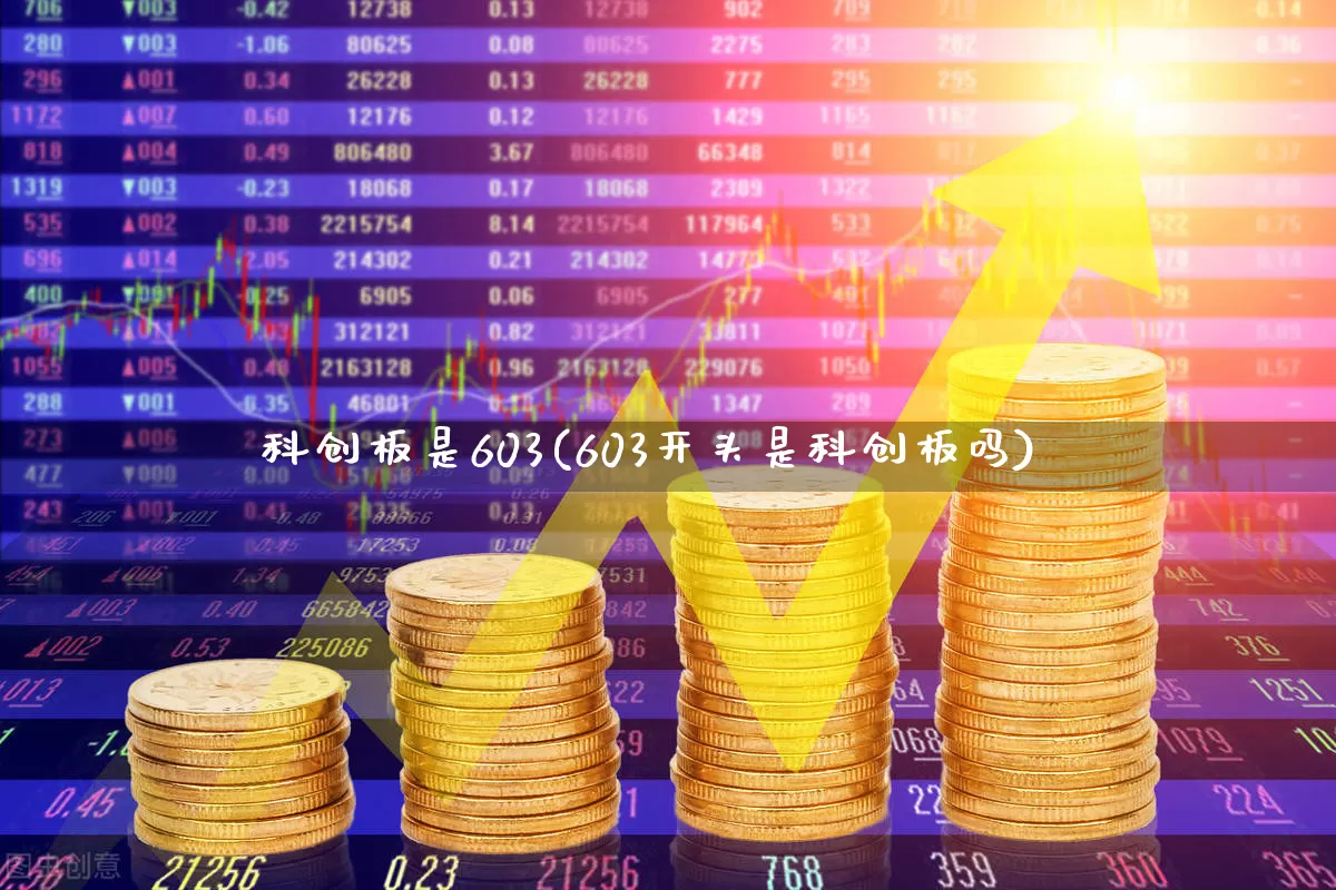 科创板是603(603开头是科创板吗)_https://www.hhem8.com_北交所_第1张