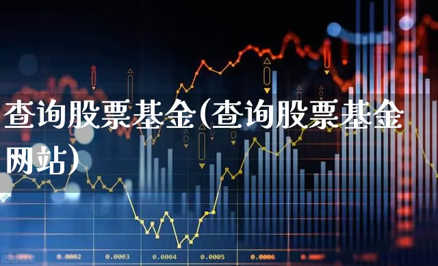 查询股票基金(查询股票基金网站)_https://www.hhem8.com_上交所_第1张