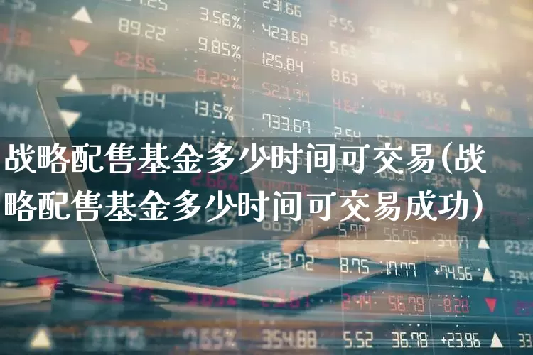战略配售基金多少时间可交易(战略配售基金多少时间可交易成功)_https://www.hhem8.com_创业板_第1张