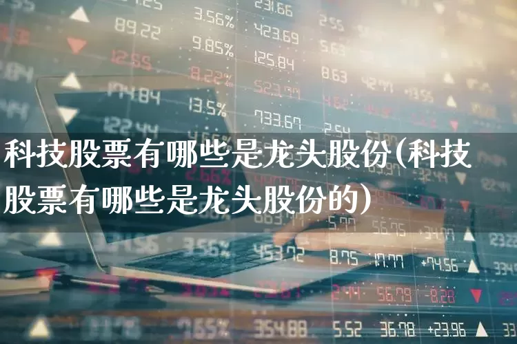科技股票有哪些是龙头股份(科技股票有哪些是龙头股份的)_https://www.hhem8.com_科创板_第1张