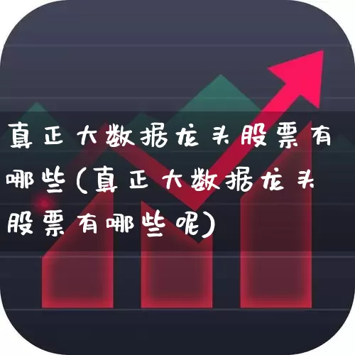 真正大数据龙头股票有哪些(真正大数据龙头股票有哪些呢)_https://www.hhem8.com_科创板_第1张