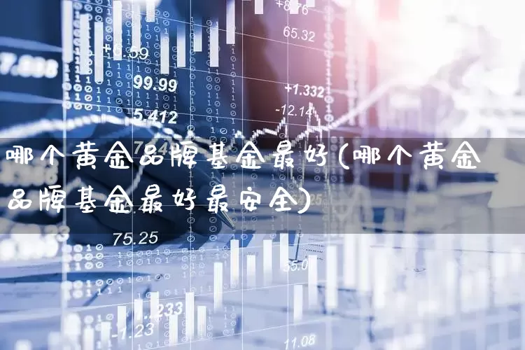 哪个黄金品牌基金最好(哪个黄金品牌基金最好最安全)_https://www.hhem8.com_科创板_第1张