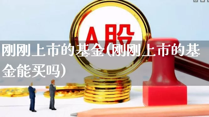 刚刚上市的基金(刚刚上市的基金能买吗)_https://www.hhem8.com_科创板_第1张