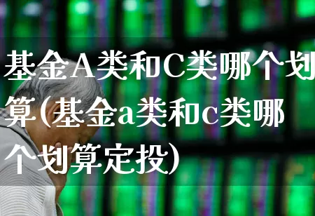 基金A类和C类哪个划算(基金a类和c类哪个划算定投)_https://www.hhem8.com_北交所_第1张