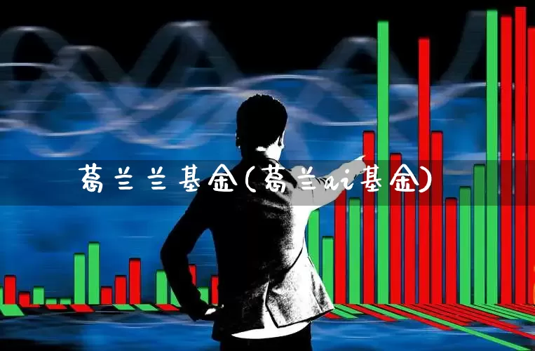 葛兰兰基金(葛兰ai基金)_https://www.hhem8.com_科创板_第1张