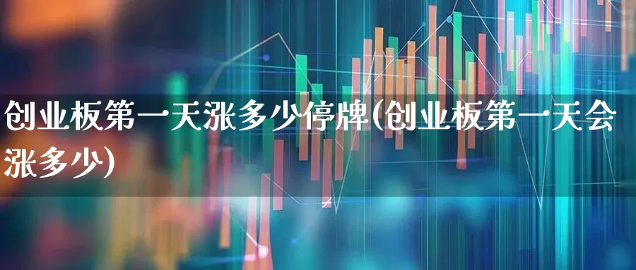 创业板第一天涨多少停牌(创业板第一天会涨多少)_https://www.hhem8.com_创业板_第1张