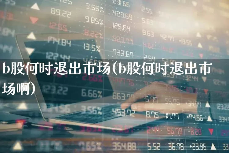 b股何时退出市场(b股何时退出市场啊)_https://www.hhem8.com_科创板_第1张