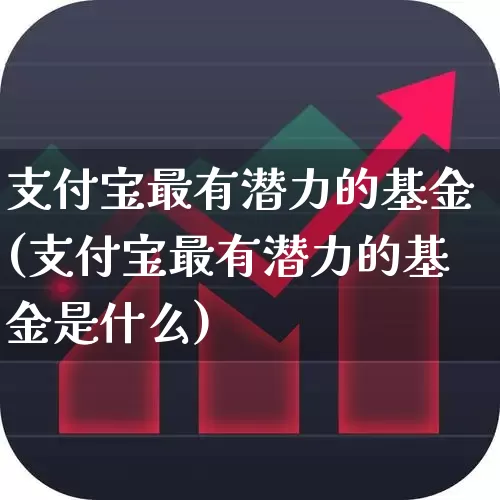 支付宝最有潜力的基金(支付宝最有潜力的基金是什么)_https://www.hhem8.com_创业板_第1张
