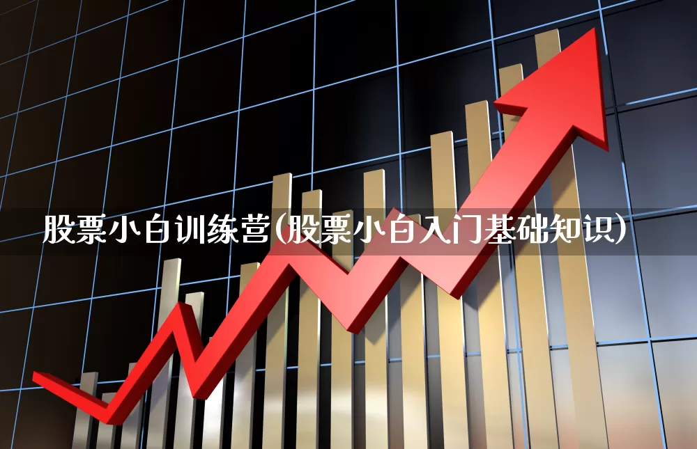 股票小白训练营(股票小白入门基础知识)_https://www.hhem8.com_深交所_第1张
