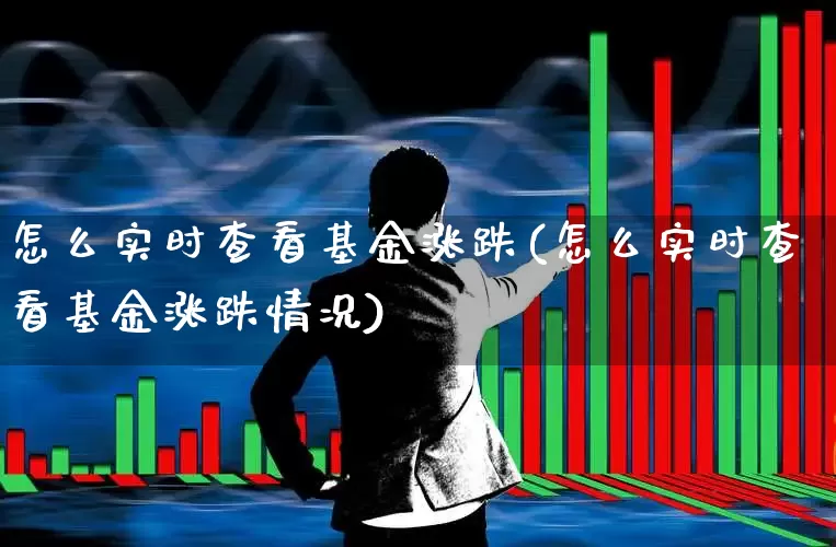 怎么实时查看基金涨跌(怎么实时查看基金涨跌情况)_https://www.hhem8.com_科创板_第1张
