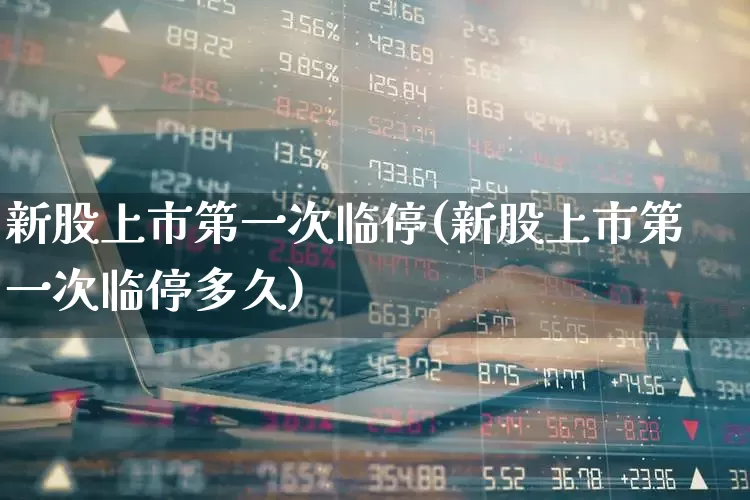 新股上市第一次临停(新股上市第一次临停多久)_https://www.hhem8.com_上交所_第1张