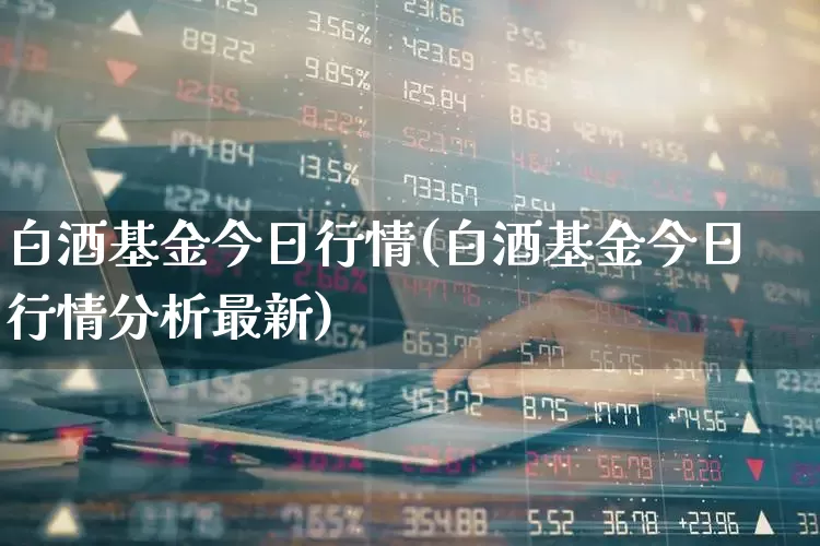 白酒基金今日行情(白酒基金今日行情分析最新)_上交所_第1张_财经网 白酒基金今日行情(白酒基金今日行情分析最新)_https://www.hhem8.com_上交所_第1张