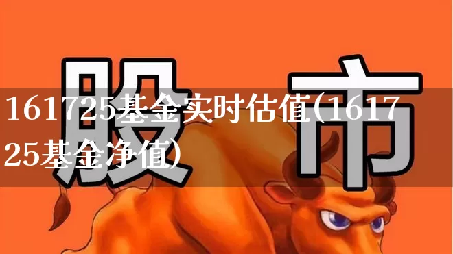 161725基金实时估值(161725基金净值)_https://www.hhem8.com_科创板_第1张