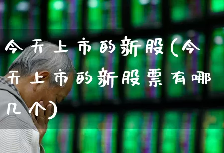 今天上市的新股(今天上市的新股票有哪几个)_https://www.hhem8.com_深交所_第1张