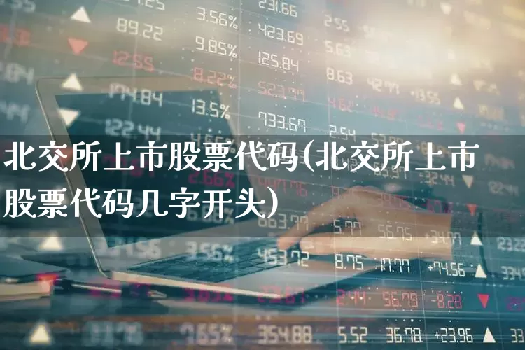 北交所上市股票代码(北交所上市股票代码几字开头)_https://www.hhem8.com_科创板_第1张