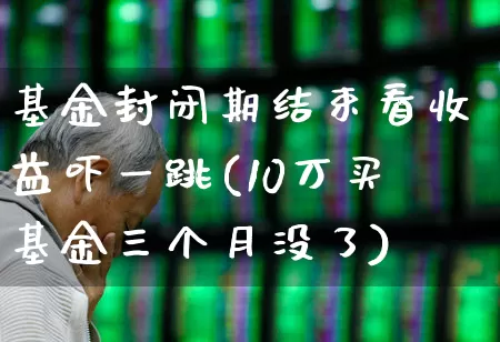 基金封闭期结束看收益吓一跳(10万买基金三个月没了)_https://www.hhem8.com_上交所_第1张