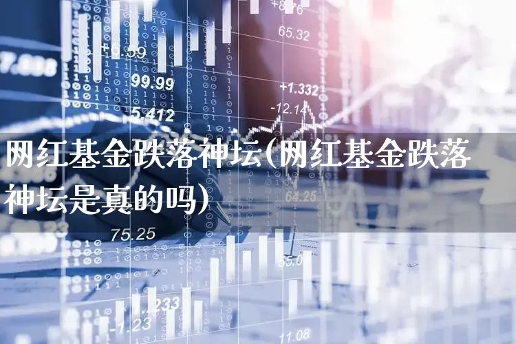 网红基金跌落神坛(网红基金跌落神坛是真的吗)_https://www.hhem8.com_上交所_第1张