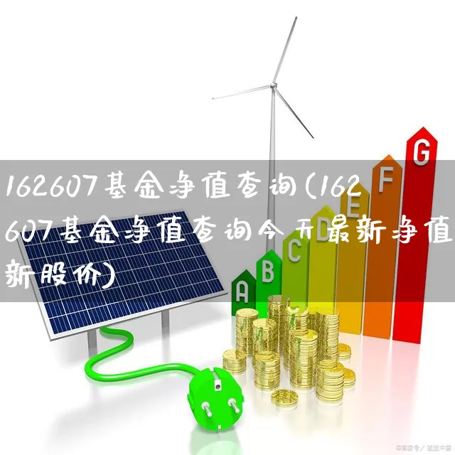 162607基金净值查询(162607基金净值查询今天最新净值最新股价)_https://www.hhem8.com_科创板_第1张