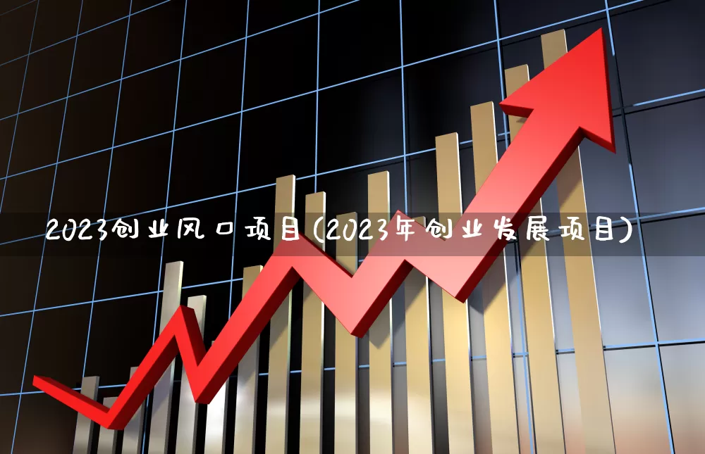 2023创业风口项目(2023年创业发展项目)_https://www.hhem8.com_创业板_第1张