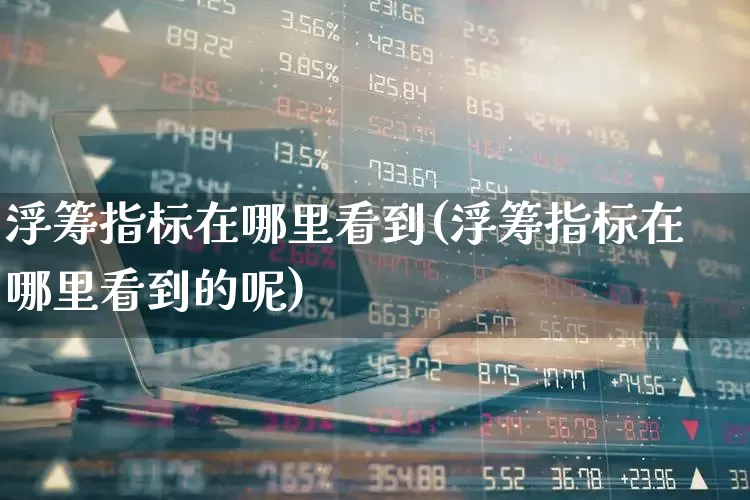 浮筹指标在哪里看到(浮筹指标在哪里看到的呢)_https://www.hhem8.com_北交所_第1张