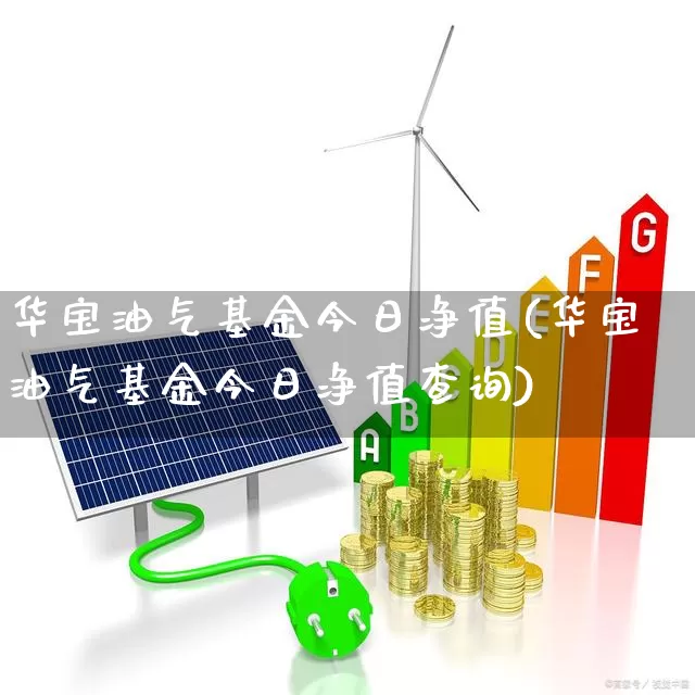 华宝油气基金今日净值(华宝油气基金今日净值查询)_https://www.hhem8.com_科创板_第1张