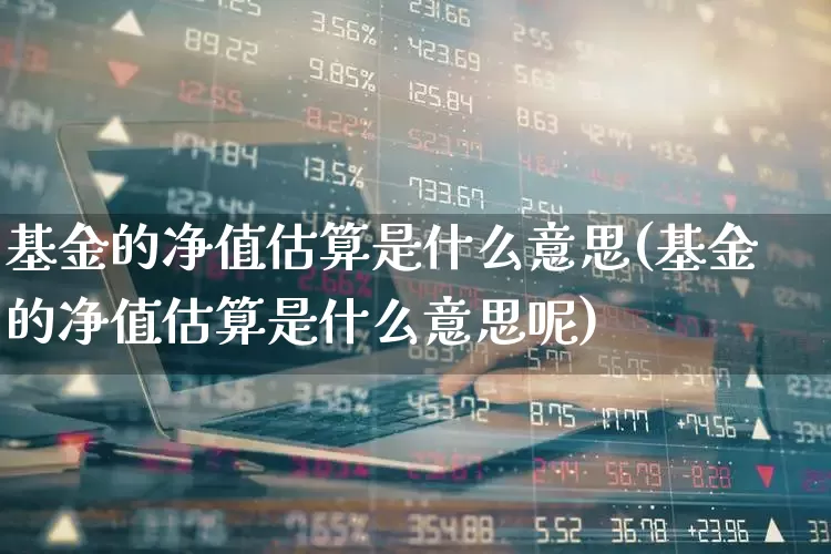 基金的净值估算是什么意思(基金的净值估算是什么意思呢)_https://www.hhem8.com_上交所_第1张
