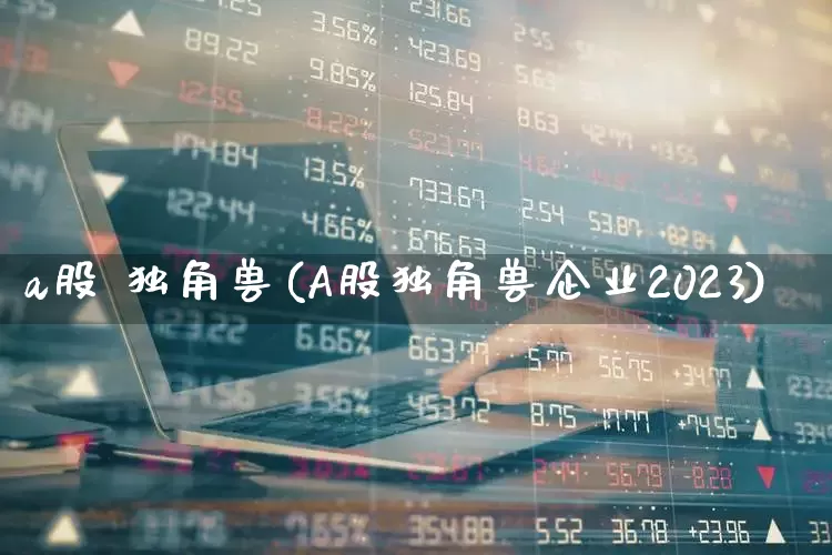 a股 独角兽(A股独角兽企业2023)_https://www.hhem8.com_北交所_第1张