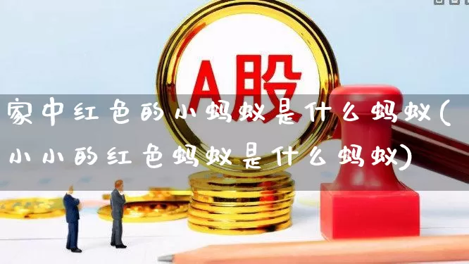 家中红色的小蚂蚁是什么蚂蚁(小小的红色蚂蚁是什么蚂蚁)_https://www.hhem8.com_上交所_第1张