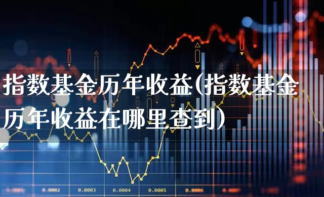指数基金历年收益(指数基金历年收益在哪里查到)_https://www.hhem8.com_科创板_第1张