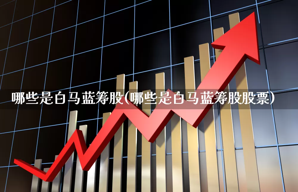 哪些是白马蓝筹股(哪些是白马蓝筹股股票)_https://www.hhem8.com_深交所_第1张