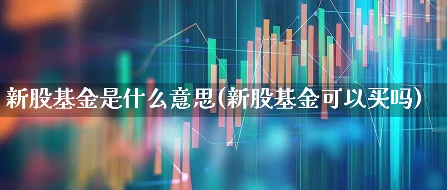 新股基金是什么意思(新股基金可以买吗)_https://www.hhem8.com_深交所_第1张