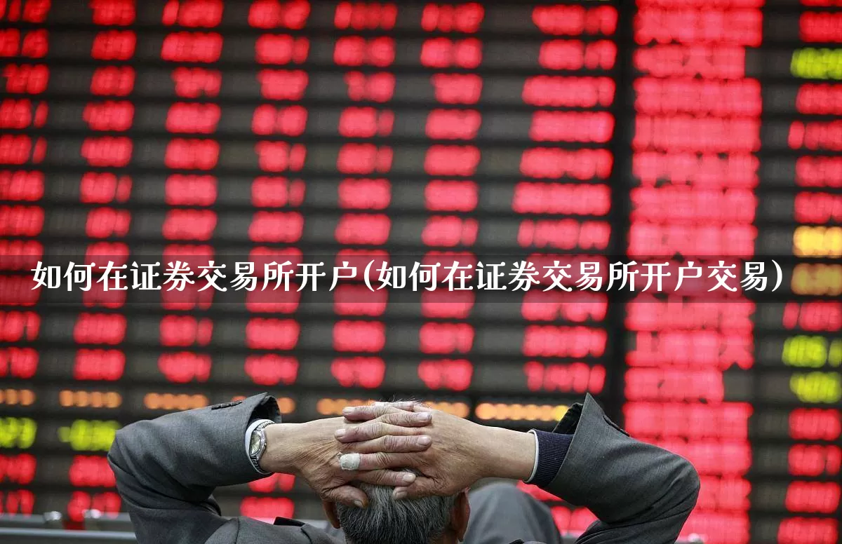 如何在证券交易所开户(如何在证券交易所开户交易)_https://www.hhem8.com_科创板_第1张