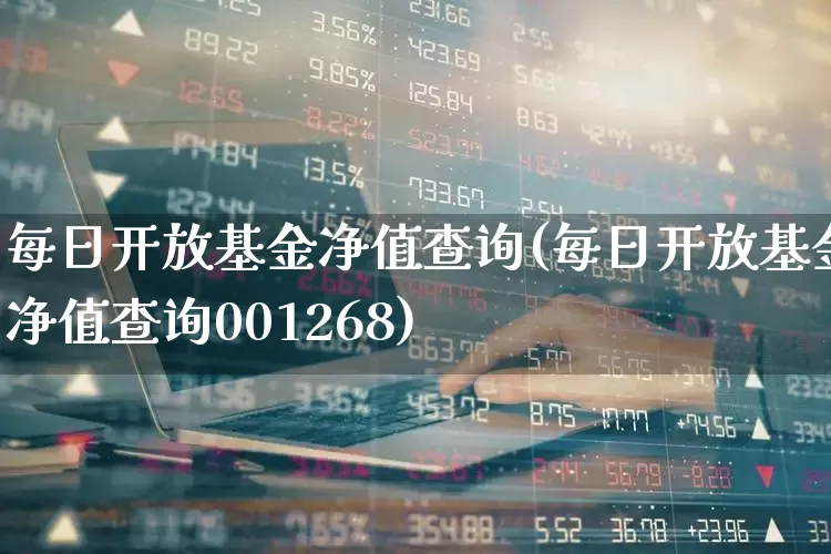 每日开放基金净值查询(每日开放基金净值查询001268)_https://www.hhem8.com_上交所_第1张