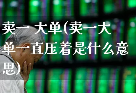 卖一 大单(卖一大单一直压着是什么意思)_https://www.hhem8.com_北交所_第1张