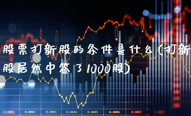 股票打新股的条件是什么(打新股居然中签了1000股)_https://www.hhem8.com_科创板_第1张