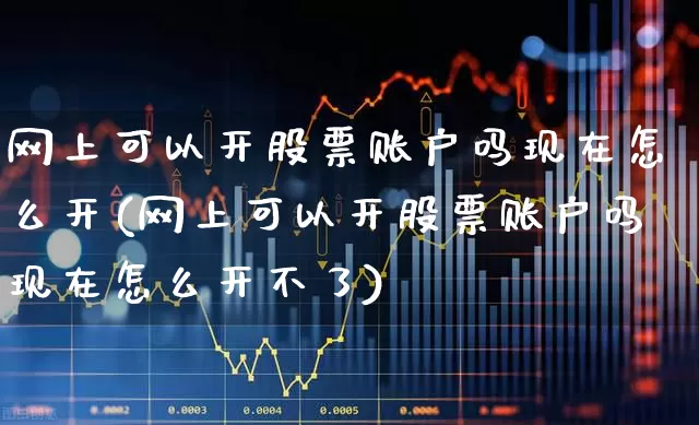 网上可以开股票账户吗现在怎么开(网上可以开股票账户吗现在怎么开不了)_https://www.hhem8.com_科创板_第1张