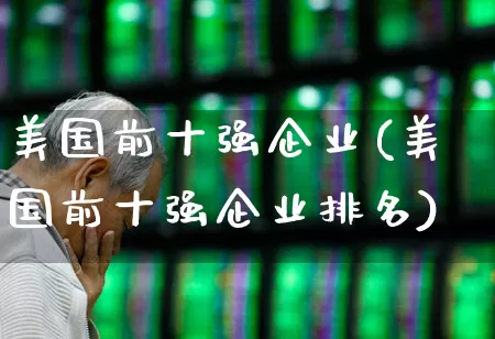 美国前十强企业(美国前十强企业排名)_https://www.hhem8.com_科创板_第1张