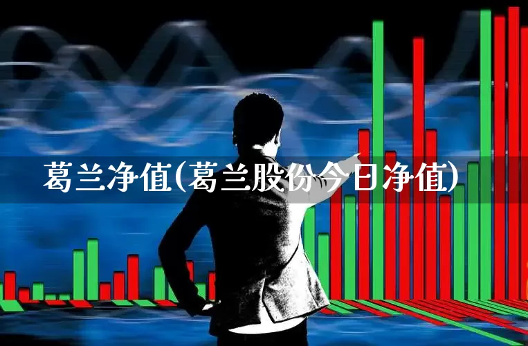 葛兰净值(葛兰股份今日净值)_https://www.hhem8.com_上交所_第1张