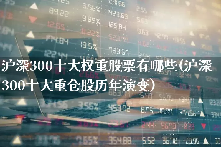 沪深300十大权重股票有哪些(沪深300十大重仓股历年演变)_https://www.hhem8.com_北交所_第1张